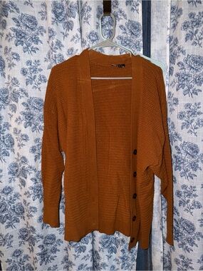 Express Burnt Orange/Brown Sweater